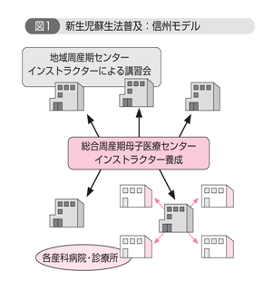 新生児蘇生法普及:信州モデル