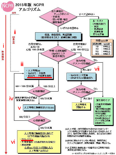 2015年アルゴリズム